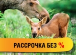 Коттеджный поселок «Лосиный парк»